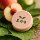 홀로닉아로마