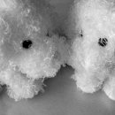 멍돌이와 멍순이 이미지