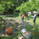 호암농장2 이미지