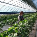 내동마을 영농조합법인 이미지