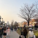 유키모찌 연남점 | 연남동에서 운좋게 찾은 아이스크림 모찌, 유키모찌 연남점 후기 (영업시간, 종류, 맛)