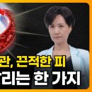 혈관 나이 10년 되돌립니다. 병원에서도 안 알려주는 혈관 99% 이야기. 고혈압·혈전·피떡·말초순환·혈액순환 이미지