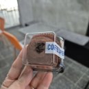 카페 싸피엔스