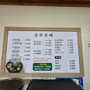 증평군청 | 증평 밥집 금화순대 증평군청 맛집 곱창볶음 후기