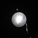 소문난오리 이미지