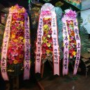 신호축사 이미지