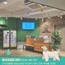 에이치동물메디컬센터 이미지