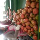 성원농장 이미지