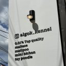 알곡켄넬 이미지