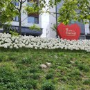 만물모터스 이미지