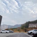 스테이어스(STAYUS) 이미지