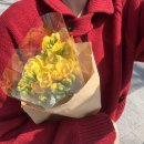 서초중앙로20길 21 이미지