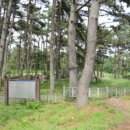 영광 성산리 지석묘군 이미지