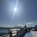 하평3길 | [묵호] 겨울바다 당일치기 여행 (말똥도나스, 도야하우스, 트와)