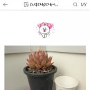 호산나농장 이미지