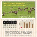 (주)이지메딕스 | [튼튼펫] 베니스타 수제 사슴 육포(오트밀, 크렌베리)