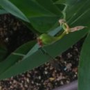 참사랑안마원 이미지