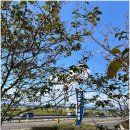 씨스페이스 남양만남의광장점 이미지