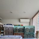 호두파이 이야기 | 고3수험생을 위한 고등학교 단체호두파이 후기