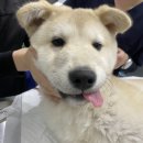 24시 위너스동물의료센터 이미지