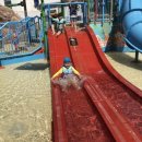 부림태권도장 이미지