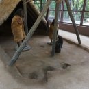 관양동 청동기유적 이미지