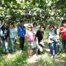 성지농장 이미지