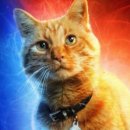 호텔티파니에서아침을 이미지