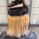 논현역 미용실 논현동 엘샤코로헤어 단발 투톤 염색 후기