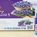 순창전시판매장 헤럴드경제