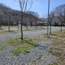 [괴산 캠핑] 나무야 나무야 캠핑장 후기