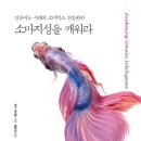 소마구조 네이버블로그