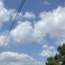 궁남지 전기자전거 대여소 이미지