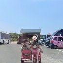 유일카클리닉부분정비 | 우도 전기차 애견동반 가능한 걸리버여행기에서 빌린 솔직후기