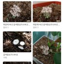 (주)에이비에스코리아 | 22년6월 반x반달일기🌗