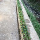 군포정형외과의원 이미지