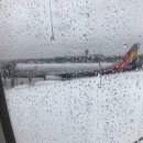 쎄레나데민박 | 약간은 불친절한 꼬욤씨의 유럽여행 DAY.2(런던 한인민박/해리포터 스튜디오)