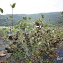 민선농장 이미지