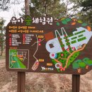 동춘유아숲체험원 이미지