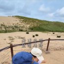 사구센터 전시실 이미지