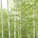 시원농원 이미지