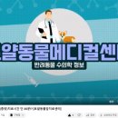 로얄동물암치료센터 이미지