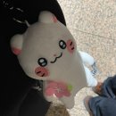 7133 | 이지젯 후기 바르셀로나에서 파리 이동 바르셀로나(BCN)-파리(CDG) EC7133 좌석 추천팁