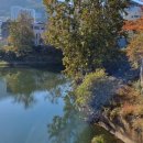 엄궁유수지 이미지