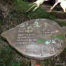 기찬 숲탐방 이미지