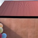 선셋티아 이미지