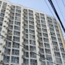 탑패밀리 이미지