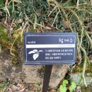 비블리아성서식물원 이미지