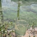 (주)정수약품 이미지