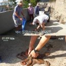 어촌댁 MBN